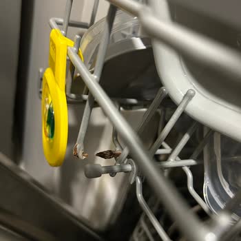 LG Bulaşık Makinesi Sepetinde Erken Paslanma Ve Kopma Sorunu