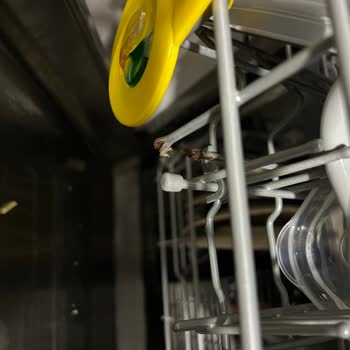 LG Bulaşık Makinesi Sepetinde Erken Paslanma Ve Kopma Sorunu