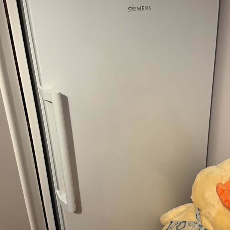 Gizerler'den Alınan Siemens Derin Dondurucunun Fişe Takıldığı İçin İadesi Reddedildi