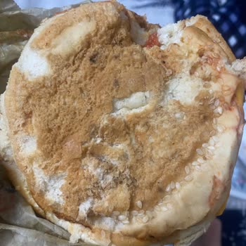 Hamburger Ekmeğinde Küf Sorunu Çocuk Sağlığını Riske Attı