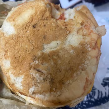 Hamburger Ekmeğinde Küf Sorunu Çocuk Sağlığını Riske Attı