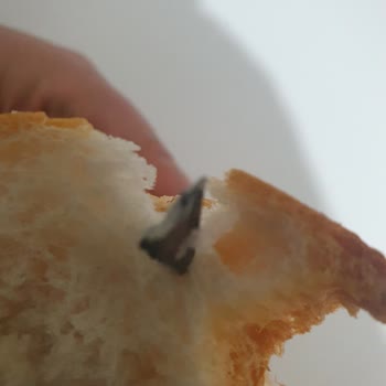 Şok Marketten Alınan Ekmekten Metal Parçası Çıkması Nedeniyle Yaşanan Güvenlik İhmali