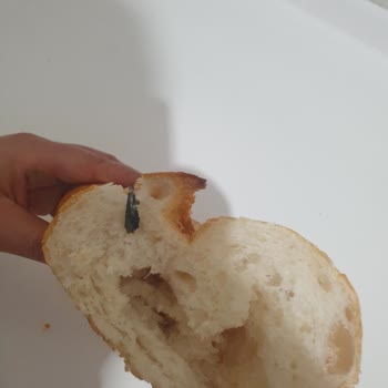 Şok Marketten Alınan Ekmekten Metal Parçası Çıkması Nedeniyle Yaşanan Güvenlik İhmali