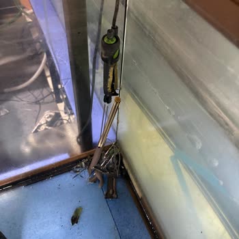 Tetra Akvaryum Malzemeleri Akvaryum Isıtıcısı Bomba Gibi Patladı