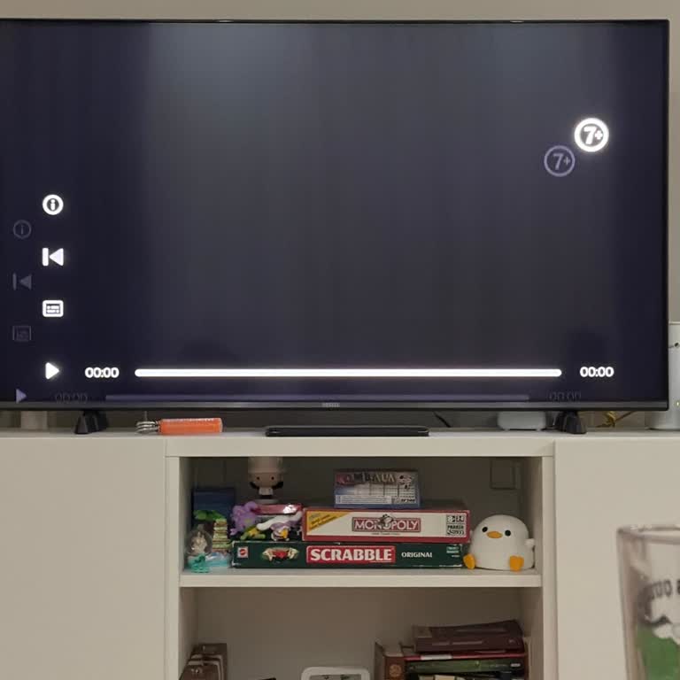 Vestel Televizyonda Todd Uygulaması Siyah Ekran Sorunu Ve Yetersiz Müşteri Hizmeti