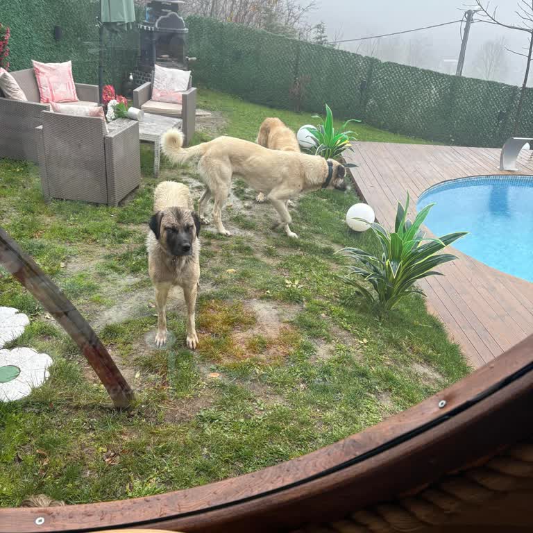 Kızılkaya Bungalov Evleri Pişmanlığı