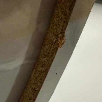 Hasarlı Ve Yanlış Ürün, İlgisiz Firma: Ücret İadesi Talep Ediyorum