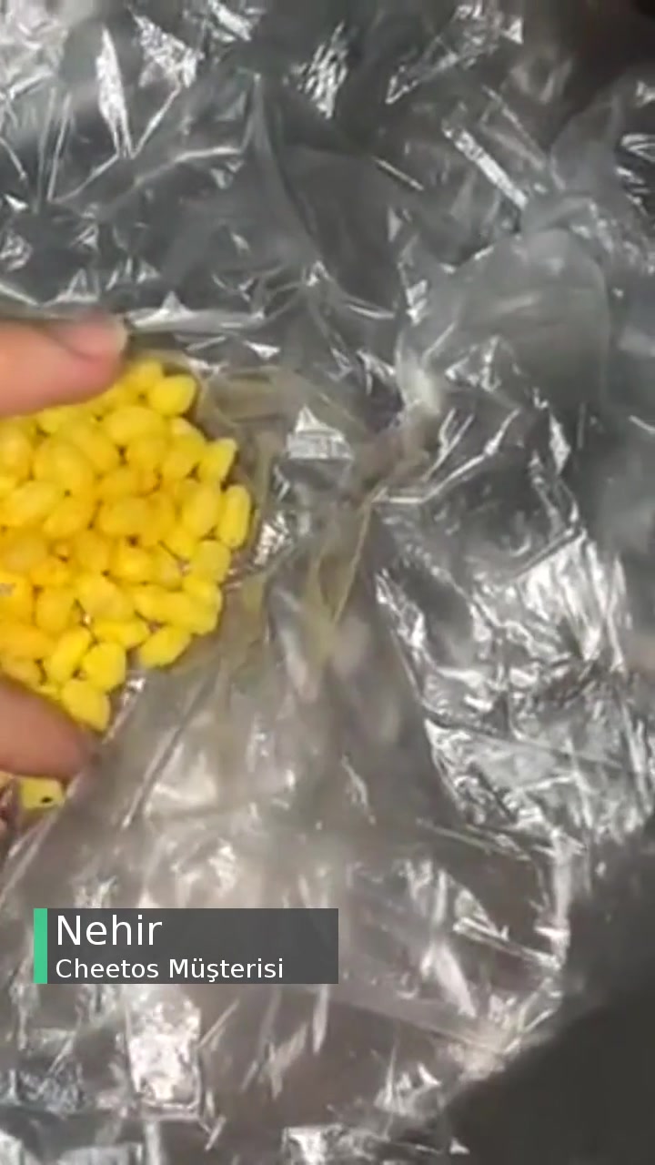 Cheetos Cipsten Çıkan Pislik videonun kapak resmi