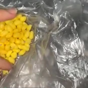Cheetos Cipsten Çıkan Pislik