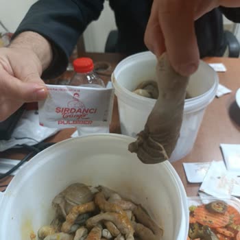 Şırdancı Güngör Porsiyonların Küçüklüğü