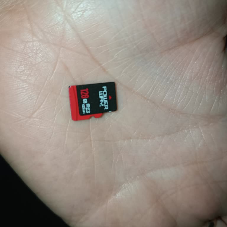 Kısa Sürede Arızalanan Powerway Micro SD Kart Nedeniyle Fotoğraflarımı Kaybettim