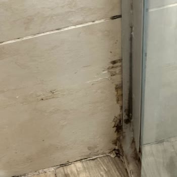 Beyoğlu Öğretmenevi Temizlik Ve Hijyen Koşulları Yetersiz!