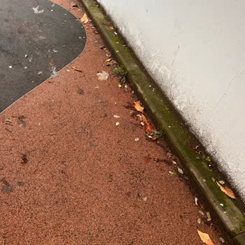 Ataşehir Atatürk Mahallesi’nde Yetersiz Temizlik Hizmetleri Ve Çözüm Talebi