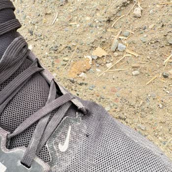 4 Ayda Yırtılan Nike Ayakkabıma FLO’dan Ret Cevabı!