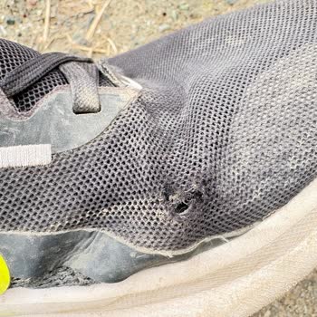 4 Ayda Yırtılan Nike Ayakkabıma FLO’dan Ret Cevabı!