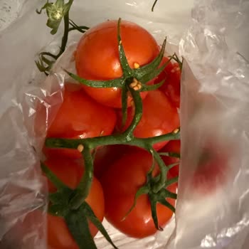 Bozuk Ve Hasarlı Ürünler, Yetersiz Çözüm: Migros Sanal Hemen'de Hayal Kırıklığı