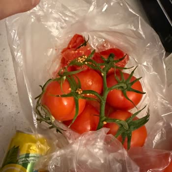 Bozuk Ve Hasarlı Ürünler, Yetersiz Çözüm: Migros Sanal Hemen'de Hayal Kırıklığı