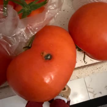 Bozuk Ve Hasarlı Ürünler, Yetersiz Çözüm: Migros Sanal Hemen'de Hayal Kırıklığı