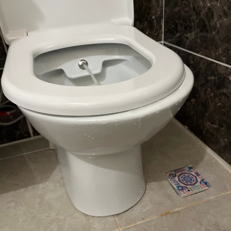 ECA Serel 6712 Klozetin Taharet Musluğu Sürekli Dışarı Su Akıtıyor, Değişim Talebim Var