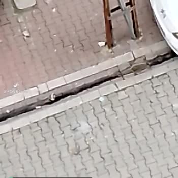 Esenyurt Belediyesi Madeni Yağ Döktüler