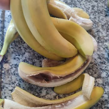 Dıştan Sağlam Görünen Muzların Tamamı Çürük Çıktı, İade Ve Daha Sıkı Kontrol Talebi