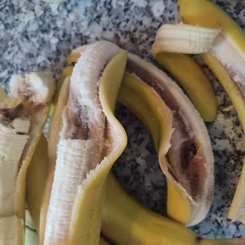 Dıştan Sağlam Görünen Muzların Tamamı Çürük Çıktı, İade Ve Daha Sıkı Kontrol Talebi