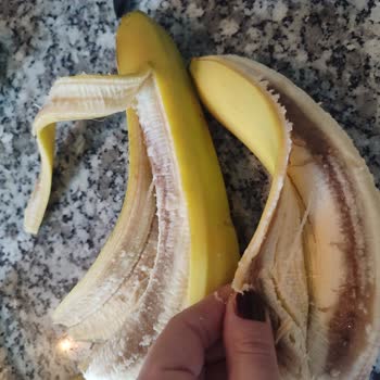 Dıştan Sağlam Görünen Muzların Tamamı Çürük Çıktı, İade Ve Daha Sıkı Kontrol Talebi