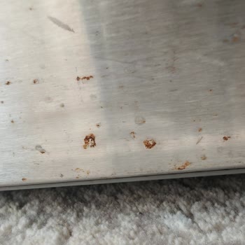 Bosch Buzdolabında Garanti Kapsamında Giderilmeyen Küflenme Sorunu