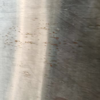 Bosch Buzdolabında Garanti Kapsamında Giderilmeyen Küflenme Sorunu