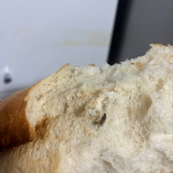 Satın Aldığım Ekmeğin İçinden Böcek Çıkması Nedeniyle Hijyen Ve Güven Sorunu Yaşadım