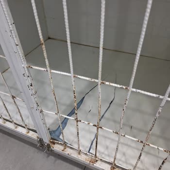 Pet Medicana Kısa Sürede Kullanılamaz Hale Gelen Boxlar ve İlgisiz Müşteri Hizmeti