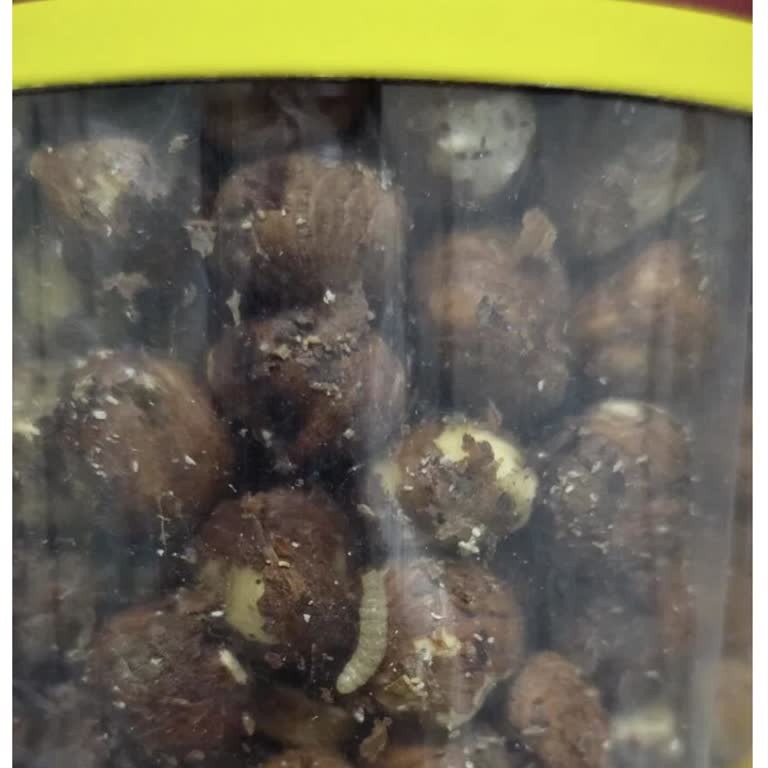 Kurtlu Fındık Sonrası İade Bekleyişi Ve Hepsiburada Müşteri İlgisizliği