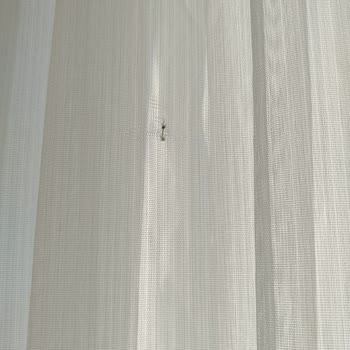 Aynı Hatalı Perdeyi 3 Aydır Geri Gönderiyorlar, Çözüm Sunulmuyor