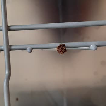 LG Bulaşık Makinesi Sepetlerinde Paslanma Ve Yetersiz Müşteri Hizmeti