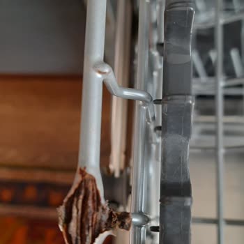 LG Bulaşık Makinesi Sepetlerinde Paslanma Ve Yetersiz Müşteri Hizmeti