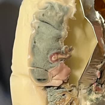 Karper Üçgen Peynirde Küf Şoku: Son Tüketim Tarihi Geçmemiş Üründe Hijyen Sorunu