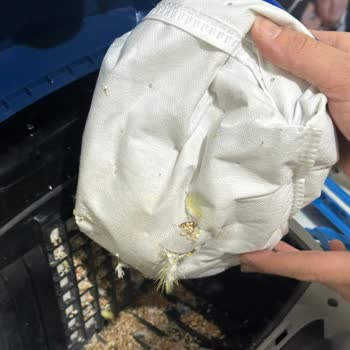 Philips 3000 Serisi Süpürge Sürekli Toz Torbası Delinmesi Ve İade Talebi