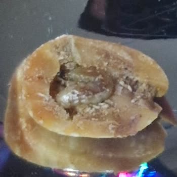 Aldığım Fıstıktan Kurt Çıktı, Hijyen Ve Güven Sorunu!