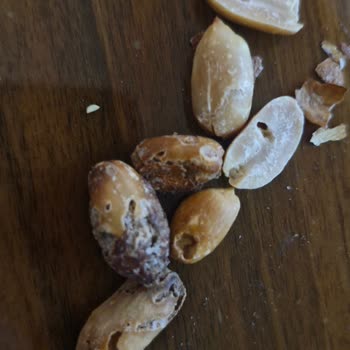 Aldığım Fıstıktan Kurt Çıktı, Hijyen Ve Güven Sorunu!