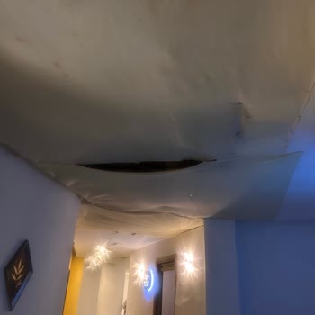 Yalova Thermal Palace'da Destek Eksikliği, Bakımsızlık Ve Hijyen Sorunları Nedeniyle Mağduriyet