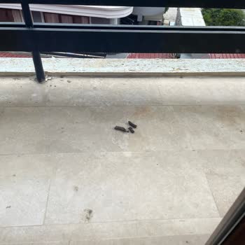 Yalova Thermal Palace'da Destek Eksikliği, Bakımsızlık Ve Hijyen Sorunları Nedeniyle Mağduriyet