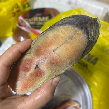 Bozuk Ve Renk Değişimine Uğramış Somon Balığı Teslimatı Hakkında Ücret İadesi Talebi