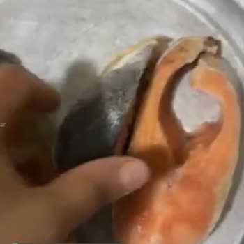 Somon Balığı Bozuk Renk Değişik Geldi