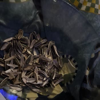 Aldığım Simbat Çekirdeklerin Çoğu Boş Çıktı, Mağduriyetimin Giderilmesini İstiyorum