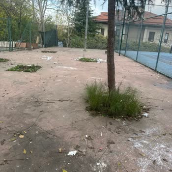 Semavi Güneş Parkı'nın Yenilenmesi Ve Güvenli Hale Getirilmesi Talebi
