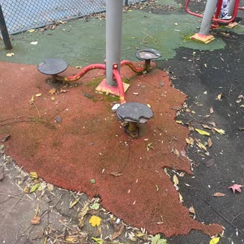 Semavi Güneş Parkı'nın Yenilenmesi Ve Güvenli Hale Getirilmesi Talebi