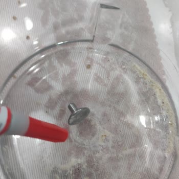 Tefal Blender Cam Hazne Aparatı Sürekli Çıkıyor, Kalıcı Çözüm Ve Ücretsiz Değişim Talebi