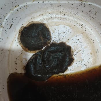 Lipton Demlik Poşet Çayda Sürekli Patlama Ve Kalite Sorunu: Ücret İadesi Talebim