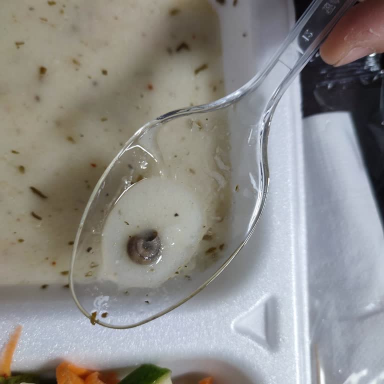 Denizcan Yemek & Catering İle Yaşanan Hijyen Sıkıntıları