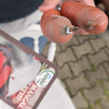 Pınar Sucukta Küflenme